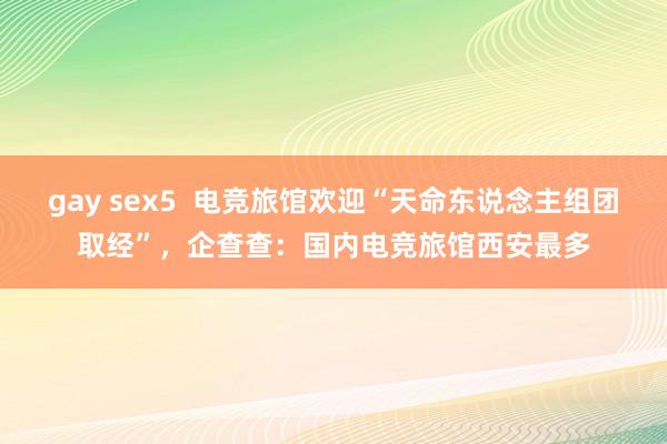 gay sex5  电竞旅馆欢迎“天命东说念主组团取经”，企查查：国内电竞旅馆西安最多