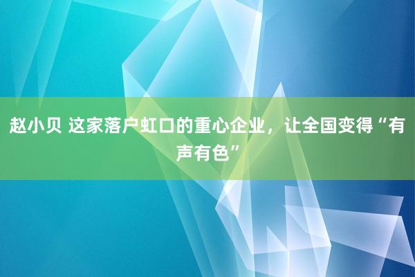 赵小贝 这家落户虹口的重心企业，让全国变得“有声有色”