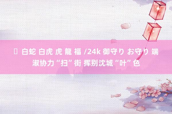 ✨白蛇 白虎 虎 龍 福 /24k 御守り お守り 端淑协力“扫”街 挥别沈城“叶”色